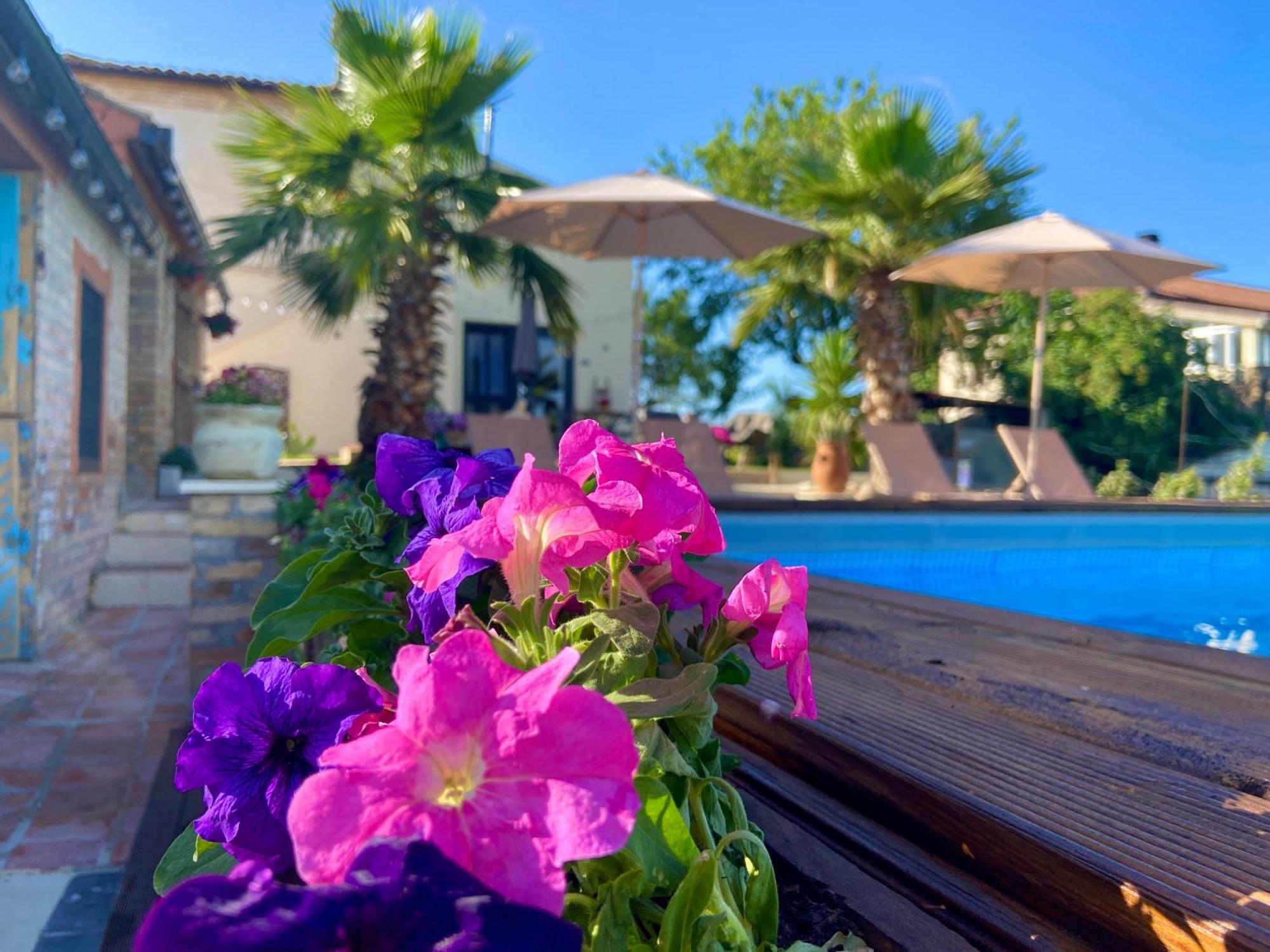 Bed And Adventure Tramontana Resort - Camera Vista Castilenti Exterior foto